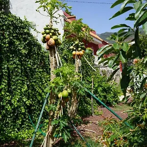 Casa Rural En Tenerife Chalet Güímar